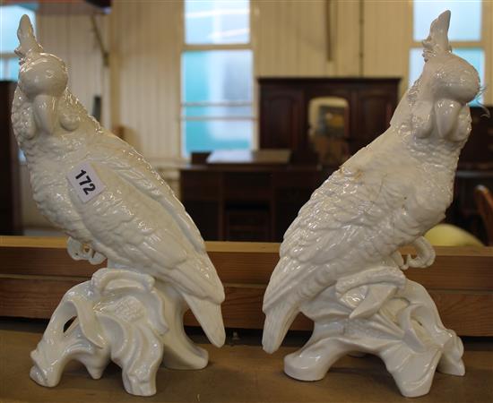 Pair of Crown Staffordshire white-glazed bone china cockatoos (one a.f)